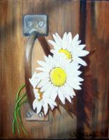 Still Life - Barn Door Daisies - Oils On Canvas